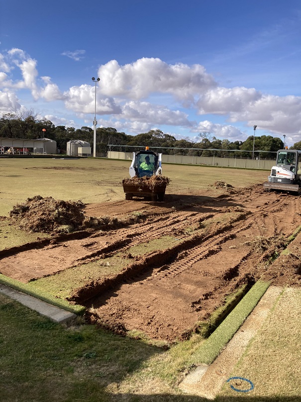 removing lawn