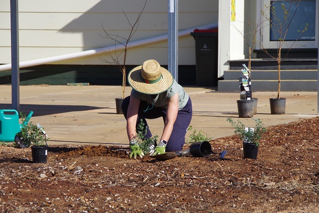 Kristen working on new garden beds at the Underbool Primary School